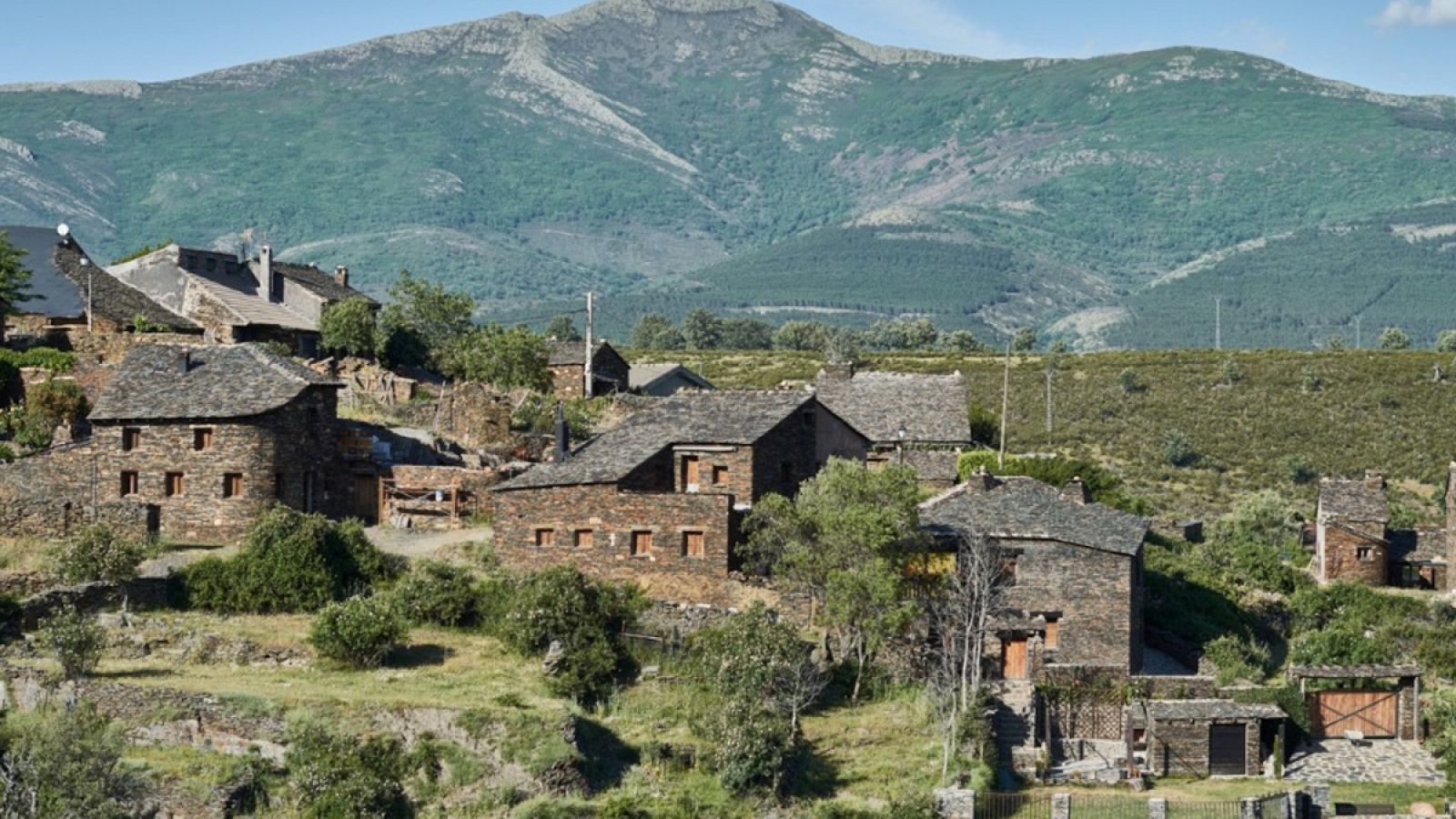 Campillo de Ranas · calle empedrada y tejados